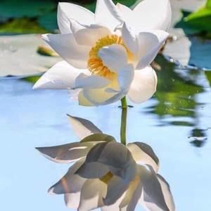 Meet your Posher, Maggie huong